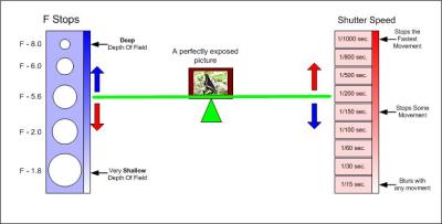 Now, lets look for a moment at the relationship between aperture and shutter speed. In this diagram, various apertures are listed on the left and shutter speeds on the right.