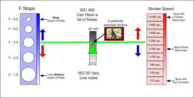 With film cameras, remember the decision as to which film to use? Films are rated in ISO numbers, where ISO 100 is for bright outdoors, ISO 400 for indoor and outdoor use, and ISO 800 and 1600 for low-light conditions. Some digital cameras have the ability to adjust the ISO setting in the same way. With digital, ISO is the sensitivity of the CCD to light, the higher the ISO setting the more sensitive to light the CCD is. The lower the ISO the less sensitive to light the CCD is.
The Teeter Totter relationship still stays the same, it is just the range that changes.