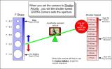 Another mode you will find on your camera is the Shutter Priority setting. This works very much like the aperture priority in the last example. With Shutter Priority YOU set the shutter speed and the camera automatically selects the proper aperture. Again the Teeter-Totter concept comes into play; the camera has to adjust the aperture to get the correct amount of light for a correct expose.