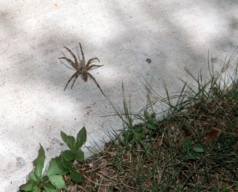 It's coming for you!