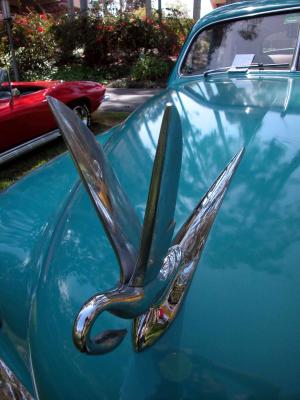 Packard Cormorant ornament