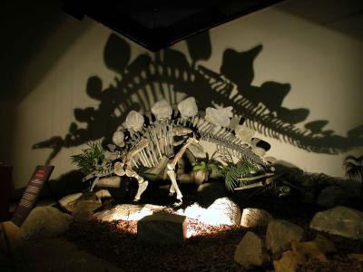 Stegosaurus - LA Museum of Natural History - CP5k