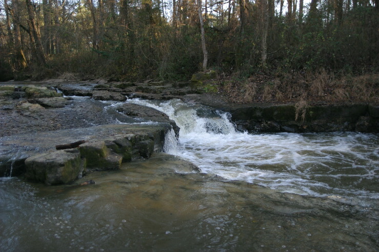 merit creek.JPG