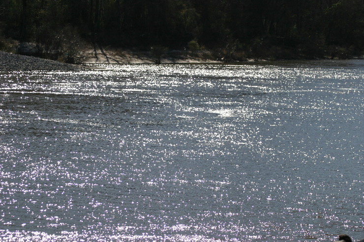 Pearl river.JPG