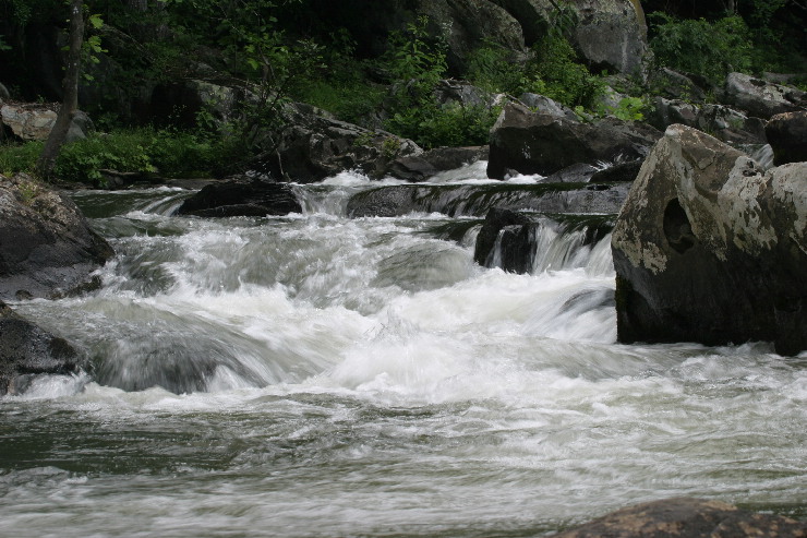 Tellico river.JPG