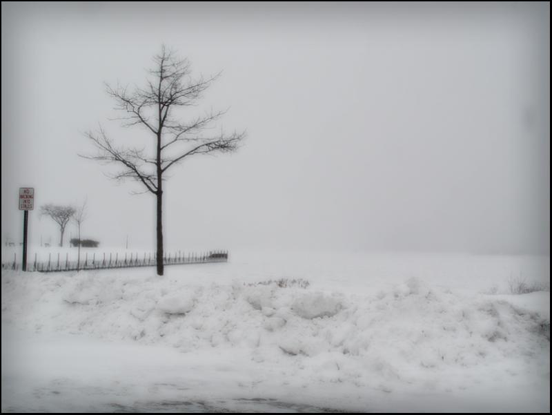20041225 / Winter Wonderland?