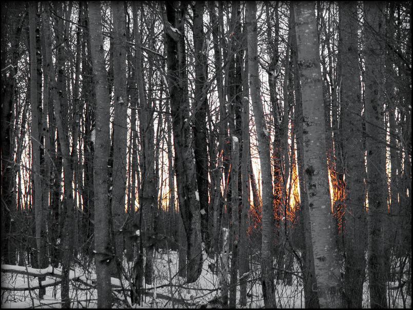 20041226 / Escanaba In Da Twilight