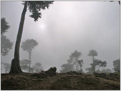 PICT0211_sml.jpg