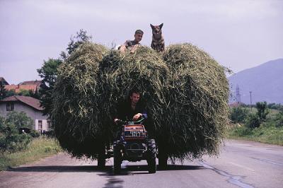 A load of hay