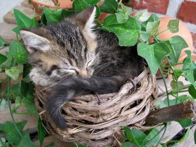 sleeping21.jpg