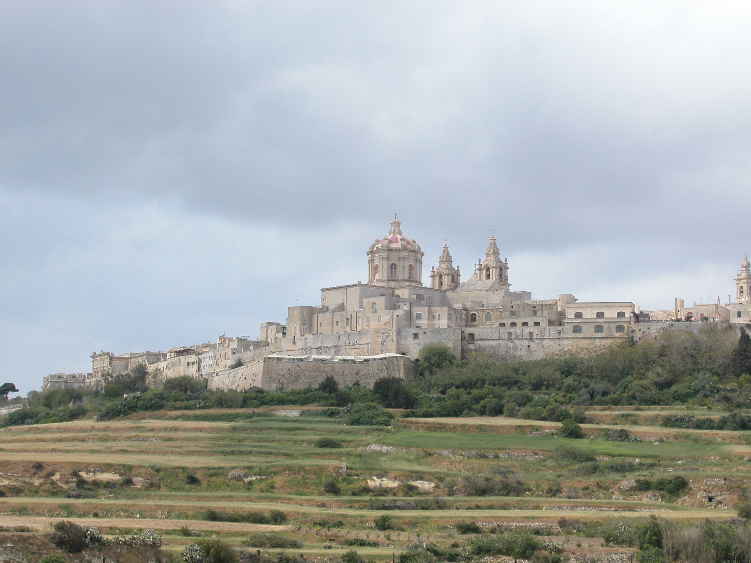 erice