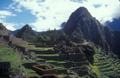 Machu Picchu