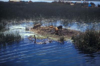 Uros Floating Islands on Lake Titicaca
