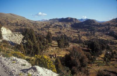 Bolivian Landscape