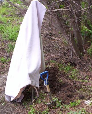 Field sanitation