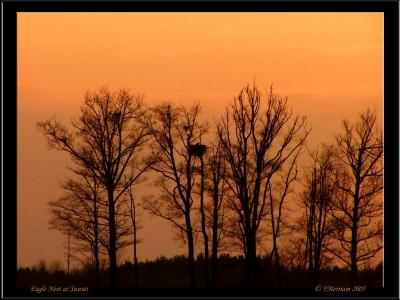 Eagle Nest at Sunset