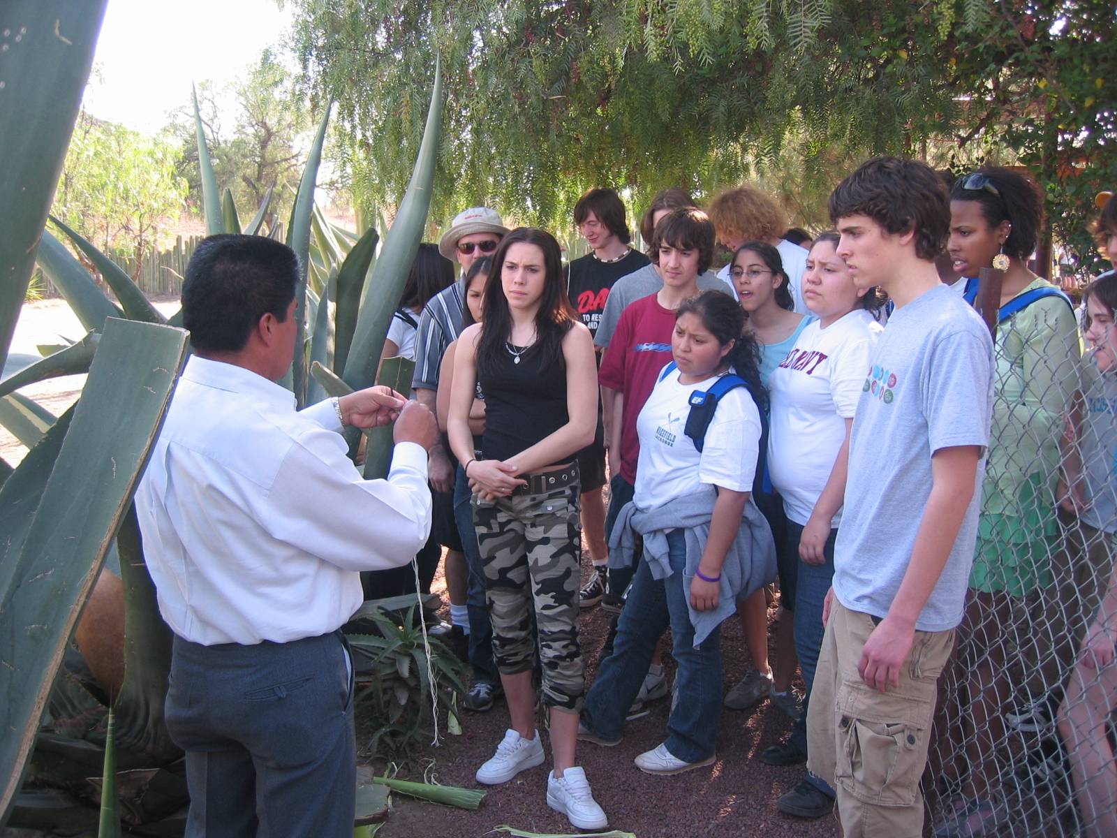 Maguey Demo