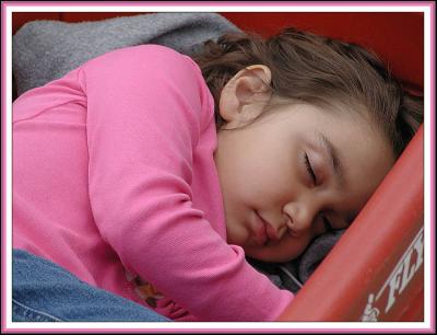 Long Day at the Brookfield Zoo