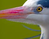 eye see u2