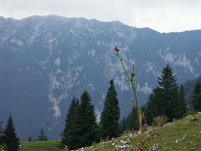 Piatra Craiului mountain