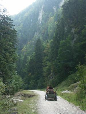 Zarnesti Gorge