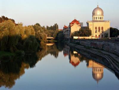 Oradea - Synagogue and Crisul Repede river
