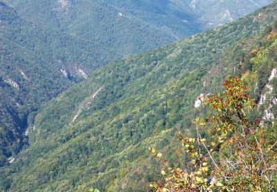 Baile Herculane - Cerna Valley