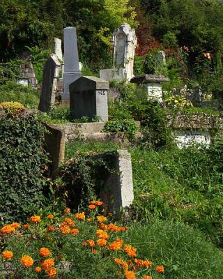Sighisoara - German Cemetery