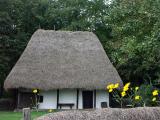 Sibiu - Folk museum