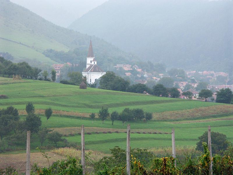 Rasinari