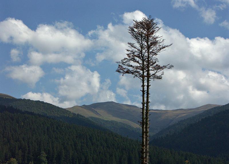 Prahova Valley, near Busteni