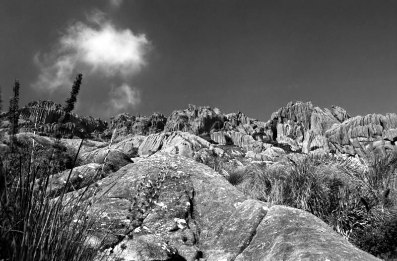 Image18ed_bw_filtered.jpg