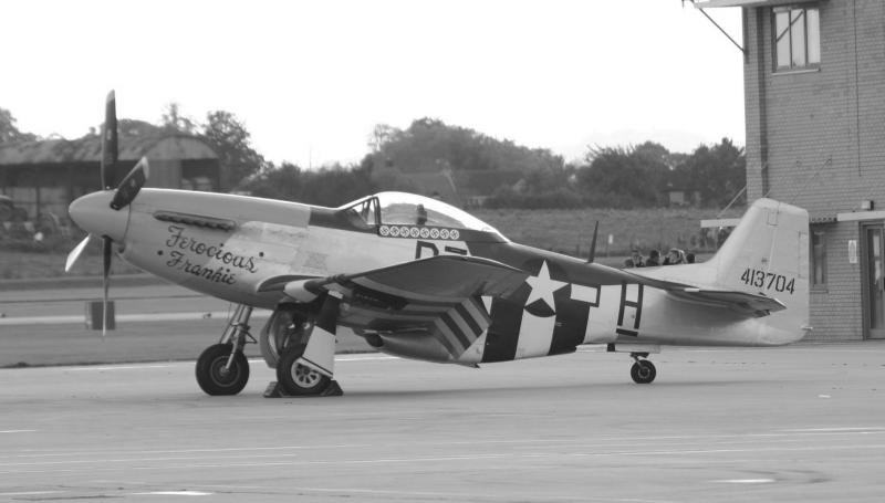 BW Mustang.jpg