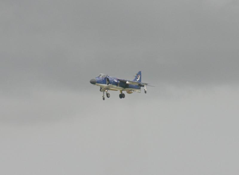 Picture 117.jpg