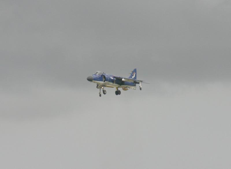 Picture 117.jpg
