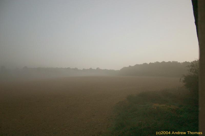 dawn4a.jpg