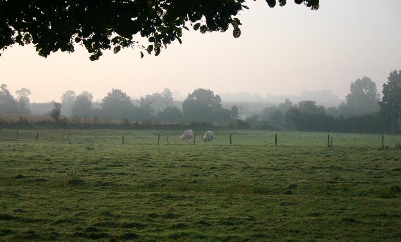 laize dawn1.jpg