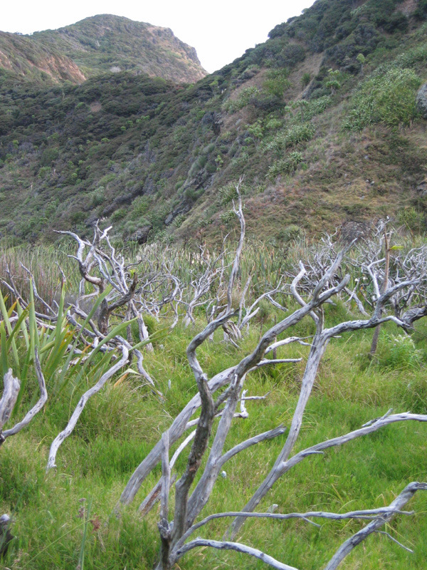 Pararaha Valley