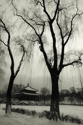 Sad Winter Afternoon, Beijiing, China, 2004