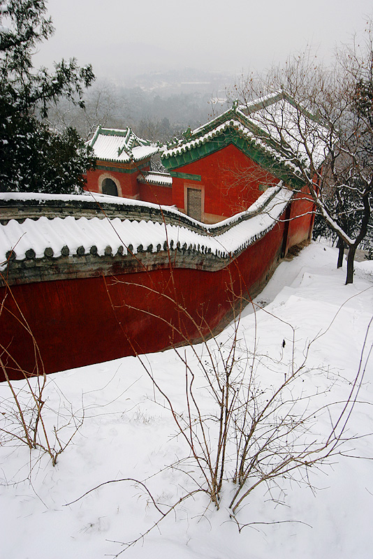 Study in Red and White, Beijing, China, 2004