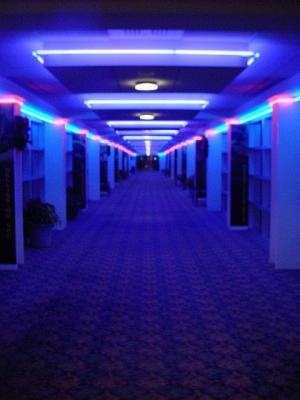 NeonWalkway1.jpg