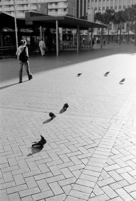 Circular Quay residents