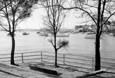 North Sydney Ferry stop