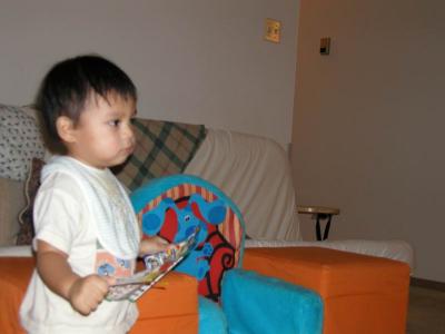 Looking for new toys!