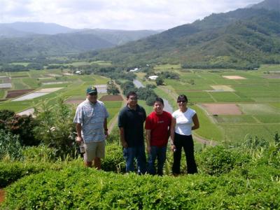 Hanalei Valley Lookout - Taro Patch - What? Got Poi?