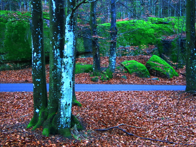 CRW_3456.jpg