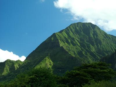 Looking up at The Pali