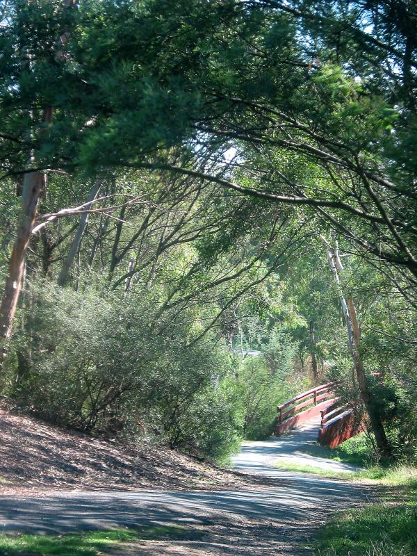 down_the_path.jpg
