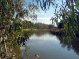 lunchtime_walk.jpg