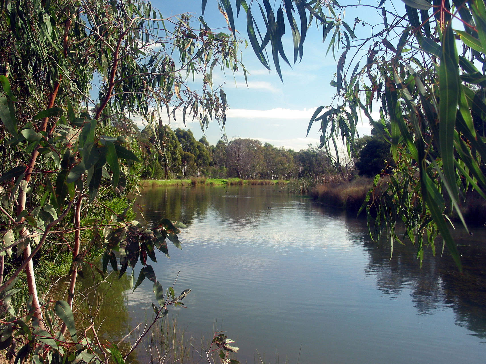 lunchtime_walk.jpg
